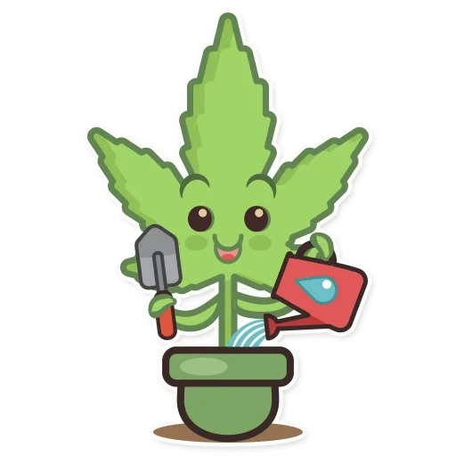 канабис, марихуана, pin марихуана, марихуана лист, домашнее растение