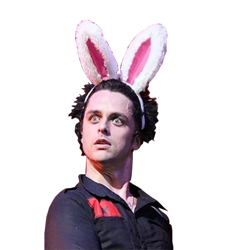 green day, green day bunny