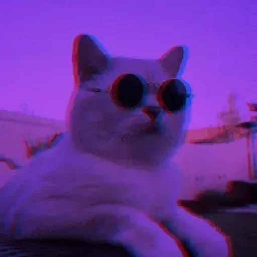 кот, кот кот, кот фиолетовый, эстетика фиолетового кота