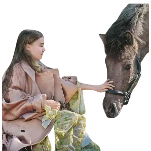 kuda, wanita muda, wanita, gadis dengan kuda, wanita itu memegang kuda itu