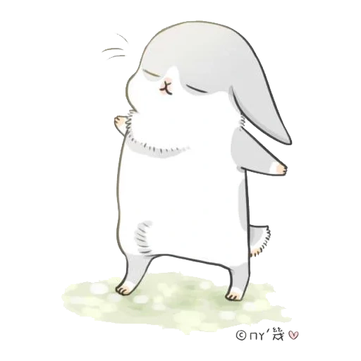 rabbit, cute rabbit, little mu zi rabbit, true rabbit, rabbit machiko