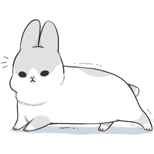 rabbit, cute rabbit, true rabbit, rabbit machiko, rabbit sketch