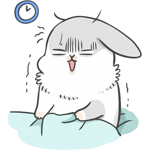 rabbit, machiko, wake up, true rabbit, rabbit machiko