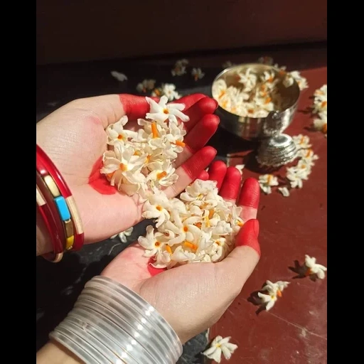 popcorn, pop corn, popcorn stoke, mélange de pop-corn, les objets de la table