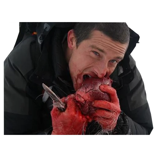 bear grylls, bear barbecue lunch, bear bbq blood, survive at all costs, bear grylls survived at all costs