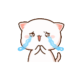 kucing yang bagus sedih, kucing kawaii, tangki sampah kucing mochi mochi peach peach, kucing mochi mochi animasi kucing persik