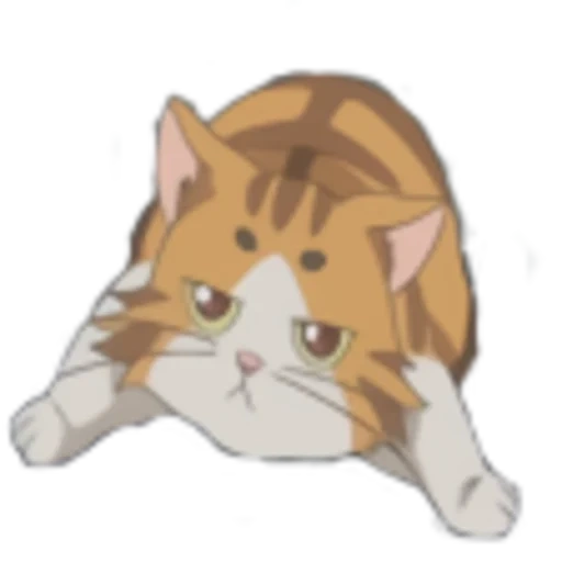 animación, animación de gato, lindo anime, cat haifu rui, gato isoloku