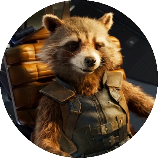 penjaga galaksi, rakun penjaga galaksi, guardians of the rocket galaxy, guardians of the galaxy bagian 2, raccoon rocket guard of the galaxy