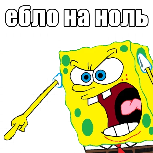 spongebob, mem spange bob, böser schwamm bob, schwamm bob schreibt ein meme, spongebob schwammkopf