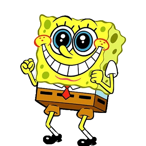 spugna di mare, smile sponge bob, sponch bob sponch bob, sponge bob square pants, grazie per l'attenzione del bob sponge