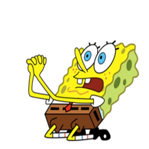 spongebob, spongebob, bob schwamm, spongebob square, spongebob square hose