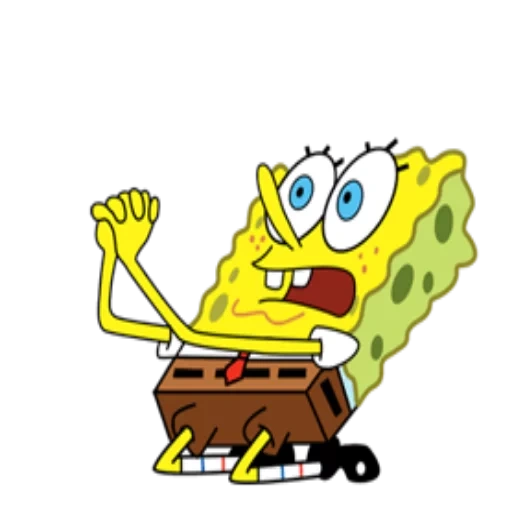 spugna di mare, spugna di mare, bob sponge, sponge bob square, sponge bob square pants