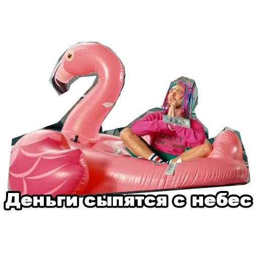 timati, inflatable swan, inflatable flamingos, a circle of inflatable flamingos, the girl sits flamingo