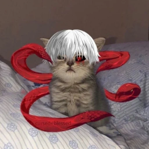goule de chat, goule de chat, gul cat, ken kaneki, beaux chats anime