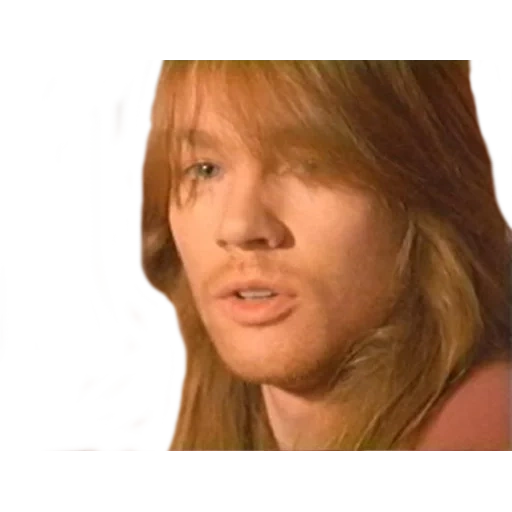 il maschio, exl rose, axel rose, brian jones, don partridge don partridge