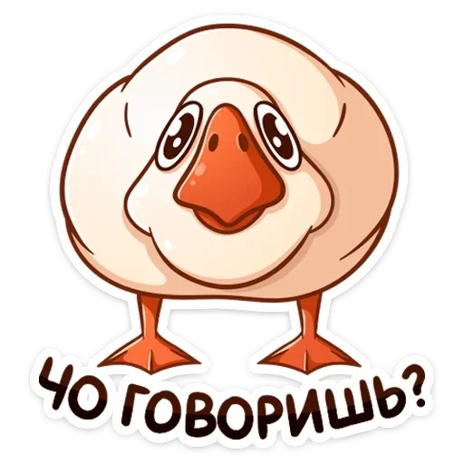 angsa, angsa fedka, vkontakte goose fedka