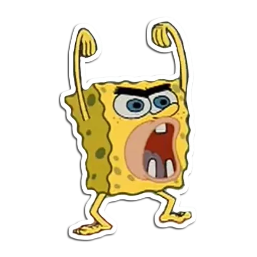 spongebob, vielseitiges spongebob, wild spongebob, spongebob square hose