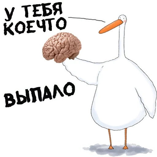 goose, goose, funny goose, you have a brain