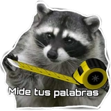 Habēmus más Raccoon