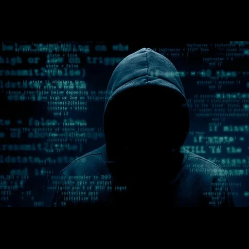 hacker, captura de pantalla, hacker zed, el pirata informático, foto de un hacker
