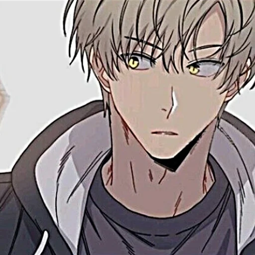 animação, manhua, munga manhua, papel de animação, personagem wenhua