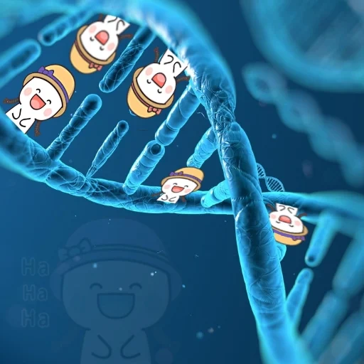 deoxyribonucleic acid, dna, genetics, biology, reproductive genetics