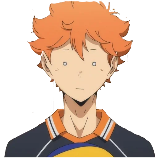 per, immagine, haikyu hinata