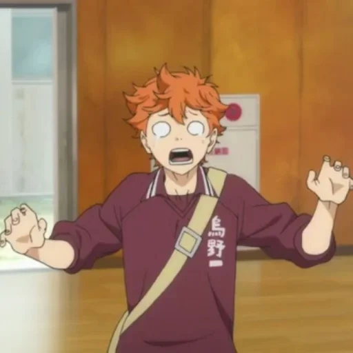 hinata, haikyuu, hinata shoyo, voleibol hinata shoyo, el voleibol hinata es un adulto