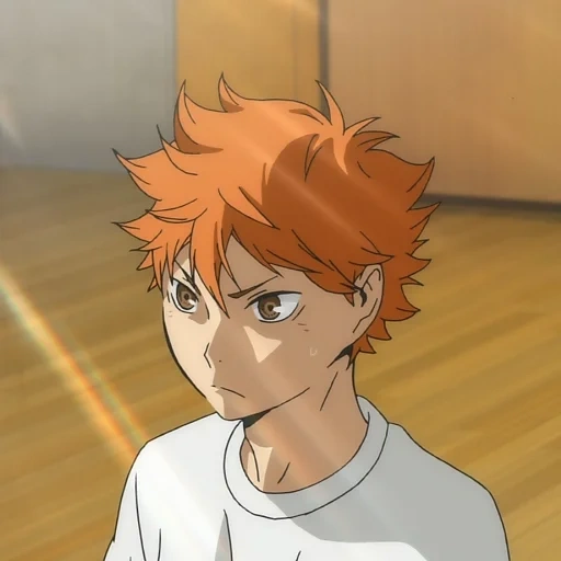 haikyuu, shoyo hinata, scarpa hinata, hinata shoyo stagione 2, pallavolo anime hinata