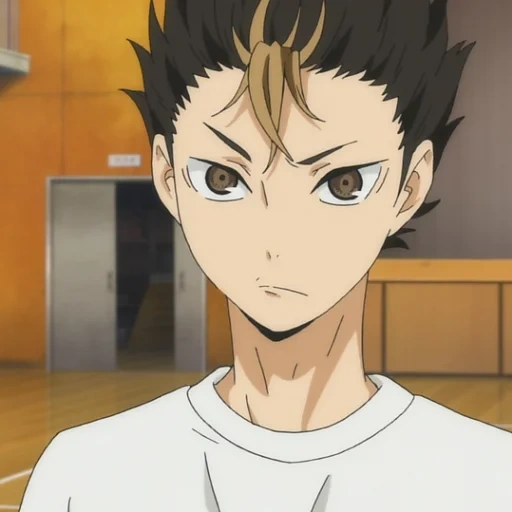 haikyuu, nishino, nishino hiroshi, nishino yoshiichi, anime volleyball nishino