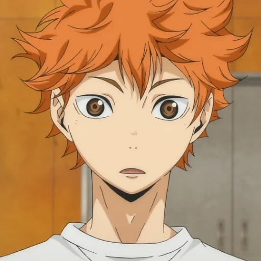 haikyuu, immagine, sole, hinata shoyo, pallavolo hinata