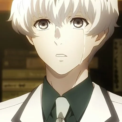 sasaki hayes, tokyo ghoul, haise tokyo ghhal, tokyo ghoul 3 season kaneki, tokyo ghoul rebirth 3 seasons