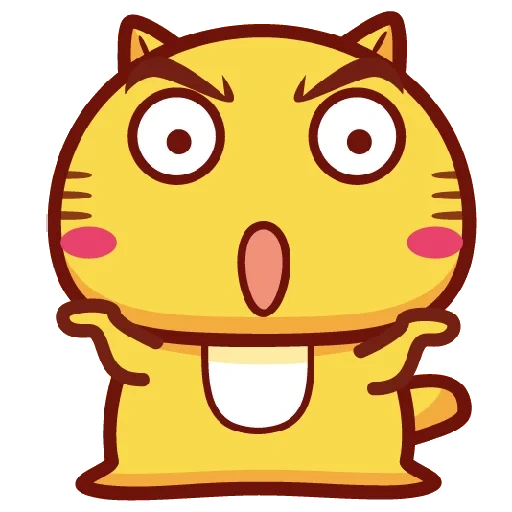 funny, hami cat, expression cat