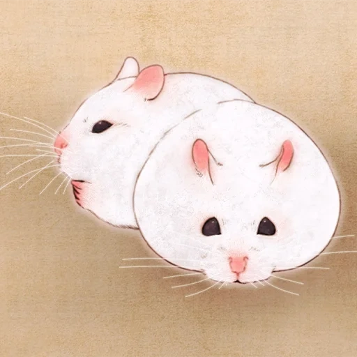 hamster, hamster, little hamster, hamster junggar, sketch of cute hamster