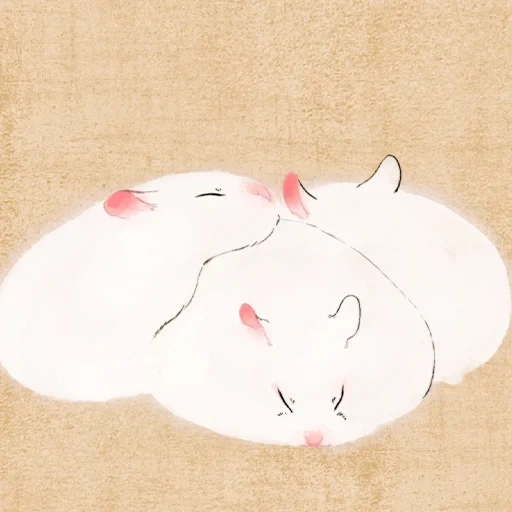 cat, hamster art, white hamster, hamsters are cute, lovely hamster art