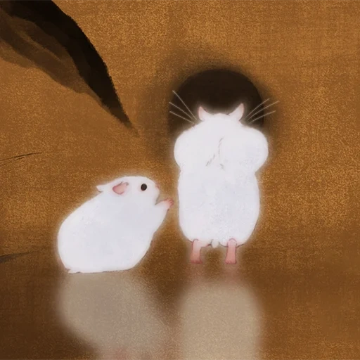 chat, hamster, le hamster est blanc, le hamster est petit, hamster dzungare blanc