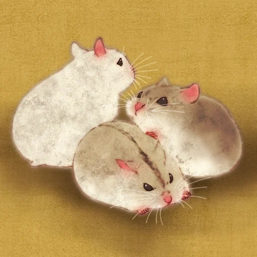 hamster, chat, deux rats, le hamster est blanc, les animaux sont mignons