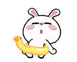 funny, kawai seal, dancing rabbit