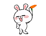 заяц ватсап, анимированные, танцующий зайчик, танцующий кролик