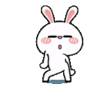 rabbit watsap, animação, coelho dançando, coelho dançando