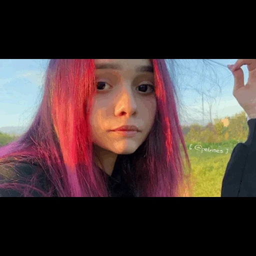 umano, ragazza, karen oliveira, capelli rosa, copertina di foto di grano saraceno