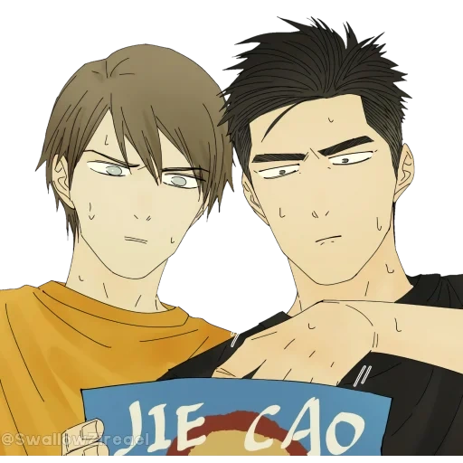 coppia di anime, i personaggi degli anime, nan hao shangfeng, wo satoshi volleyball, ruocong anime volleyball