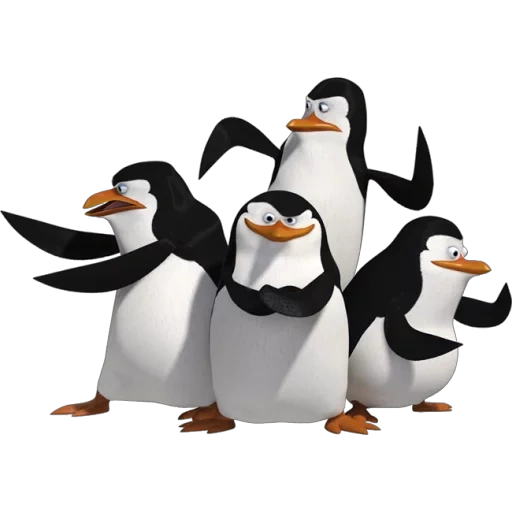 pinguine aus madagaskar, pinguin of madagascar 2x2, pinguin madagaskar animierte serie, madagaskar pinguin lächelt pash