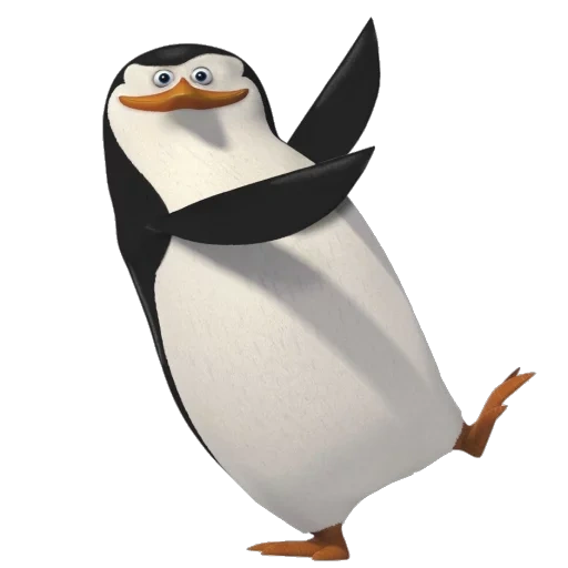 winnie, rico der pinguin, pinguin auf weißem hintergrund, pinguine aus madagaskar, randy-pinguine aus madagaskar