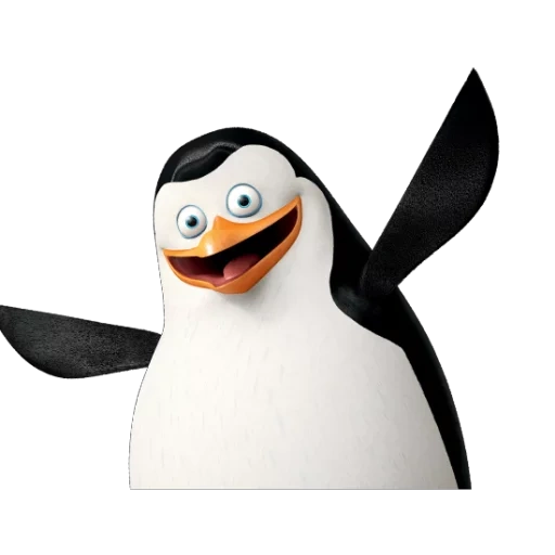 pingüino, pingüino rico, pingüino privado, pingüinos madagascar, pingüinos madagascar privado