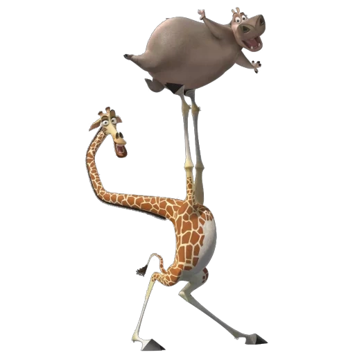 giraffa melman, melman madagascar, gloria madagascar, madagascar gloria melman, melman gloria madagascar