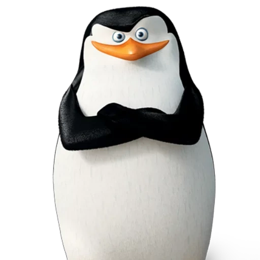 penguin rico, skipper de pingouin, skiper kovalski, penguins madagascar, pingouins madagascar skiper