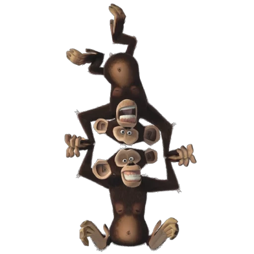 la scimmia, due scimmie, scimpanzé mason phil, scimmia su fondo bianco, madagascar scimpanzé mason phil