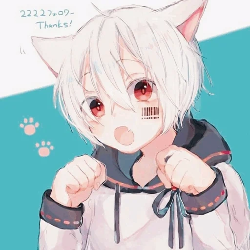 anime neko, anime carino, ma fumafu medicina interna, nico anime art, anime neko kun