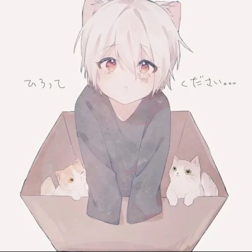 anime carino, ma fumafu medicina interna, anime art cute, mafumafu neko kun, muovi i fumetti carini